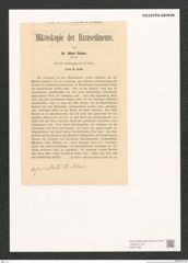 Diatomeae indet. Zeichnungen Sammlung Grunow (NHMW-BOT-W0371385)